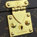 Louis Vuitton Camera Box M10079 Brown